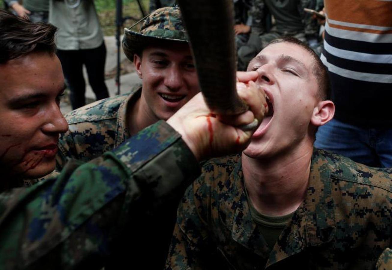Marines estadounidenses beben la sangre de una cobra ofrecida por un instructor de la Marina tailandesa durante un entrenamiento de supervivencia en la jungla como parte de las maniobras militares conjuntas multinacionales Cobra Gold 2018 en un campamento militar tailandés en el distrito de Sattahip, provincia de Chonburi (Tailandia).