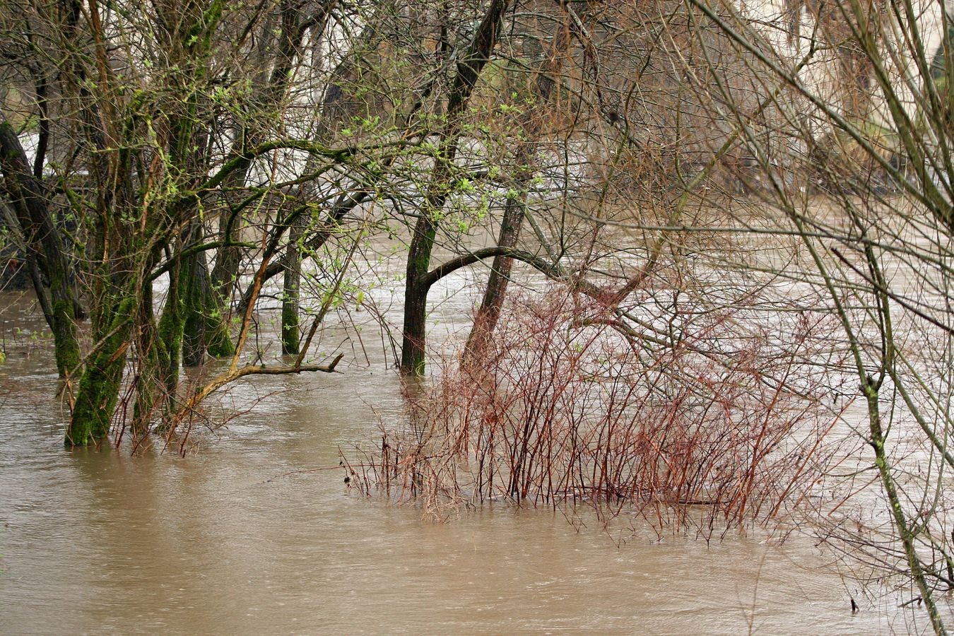 Inundaciones puntuales de los ríos guipuzcoanos tras las intensas lluvias de los últimos días. 