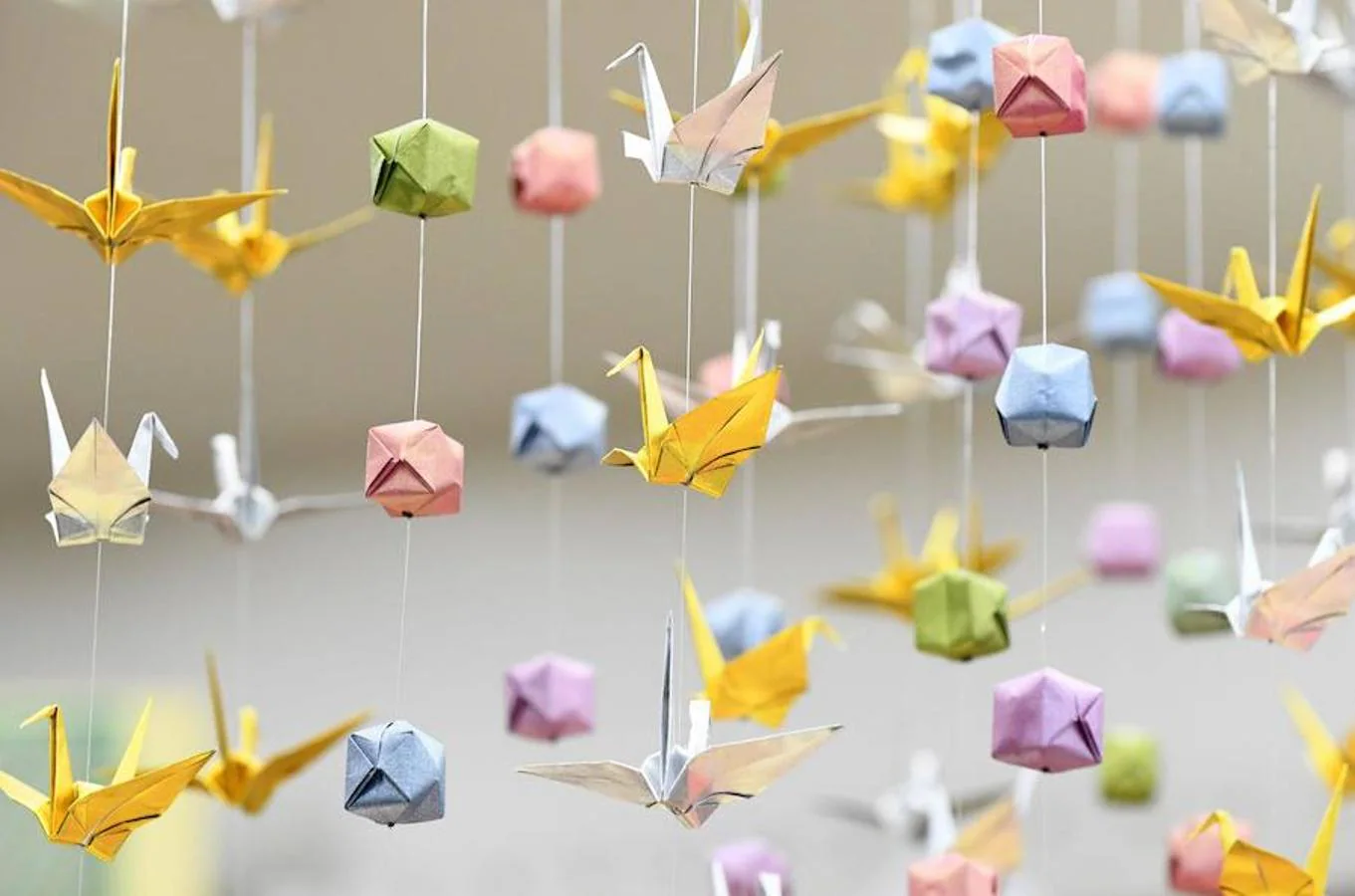 La papiroflexia o origami es el arte Japonés por excelencia, y la galería Origami Kaikan se centra exclusivamente a él. Este centro de exposiciones y taller de la papiroflexia es de entrada gratuita y dispone de una galería, tienda y clases de origami. Si alguien quiere asistir a sus cursos deberá pagar por cada clase.