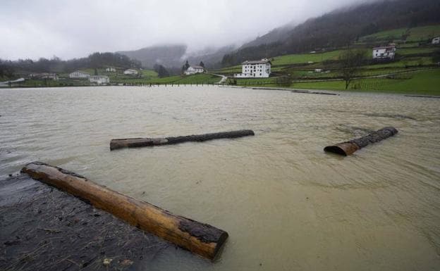 Troncos flotando tras la inundación que se registró al desbordarse el río Zelai en Berastegi. 