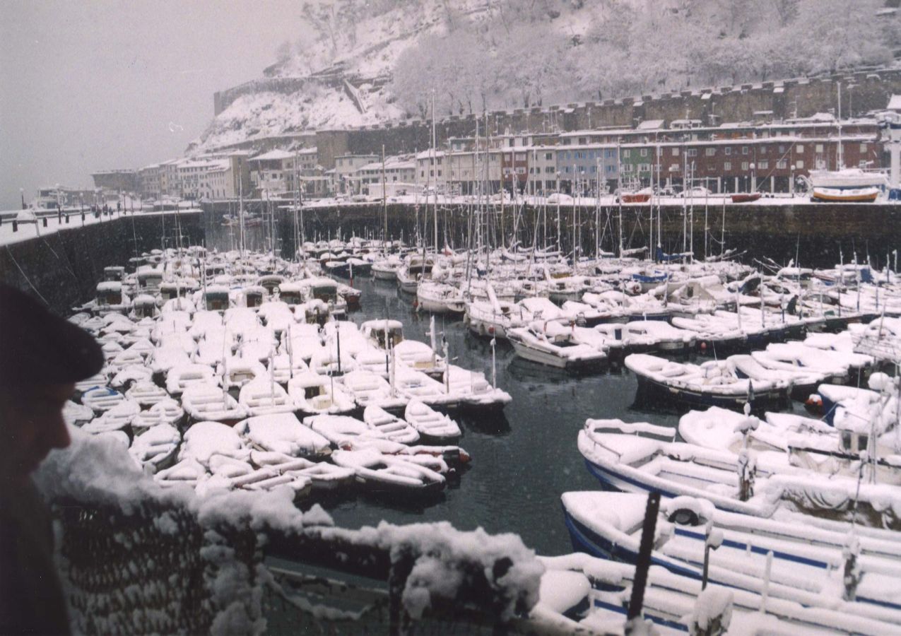 A primeras horas de la mañana del 20 de febrero de 1996 la nieve comenzó a caer sobre San Sebastián. Todo empeoró al día siguiente