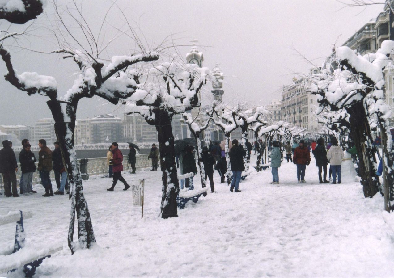 A primeras horas de la mañana del 20 de febrero de 1996 la nieve comenzó a caer sobre San Sebastián. Todo empeoró al día siguiente