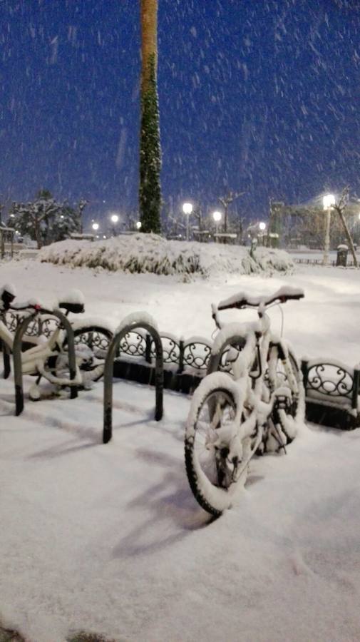 Las precipitaciones están generando severos problemas de circulación en la ciudad