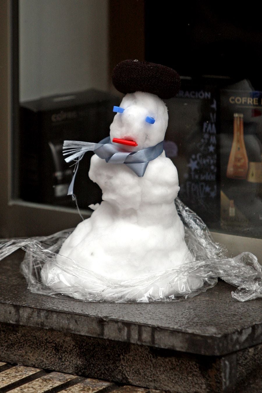 Fotos: Errenteria bajo la nieve