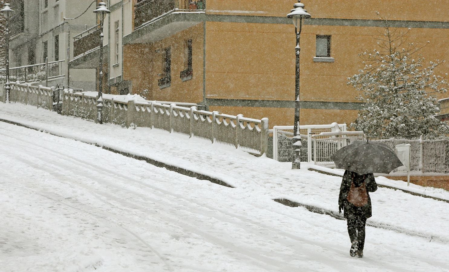 Fotos: Errenteria bajo la nieve