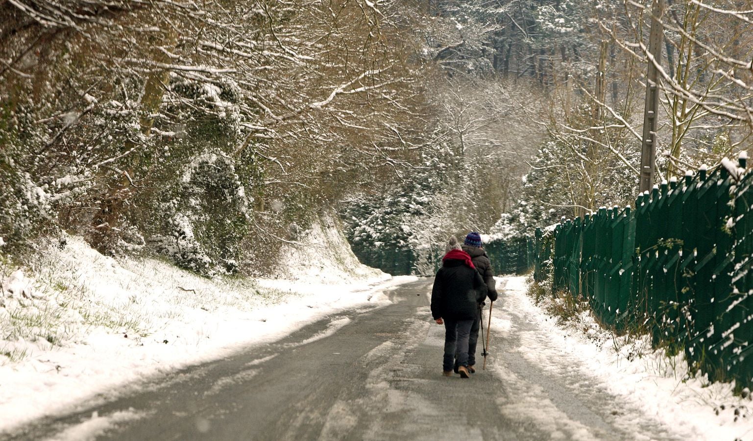 Fotos: Errenteria bajo la nieve
