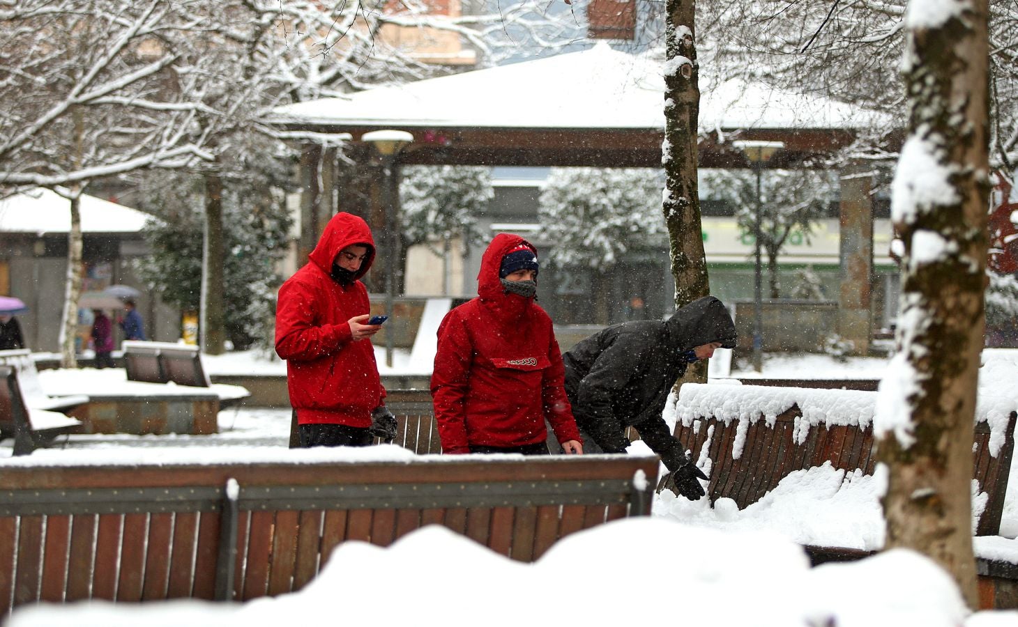 Fotos: Errenteria bajo la nieve