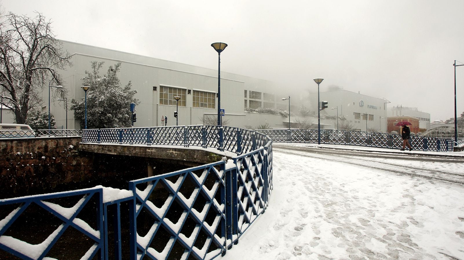 Fotos: Errenteria bajo la nieve