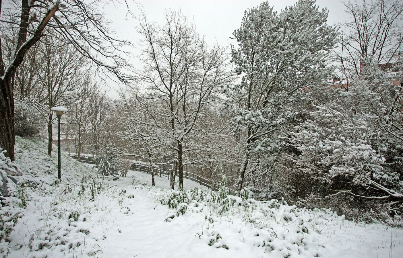 Fotos: Errenteria bajo la nieve