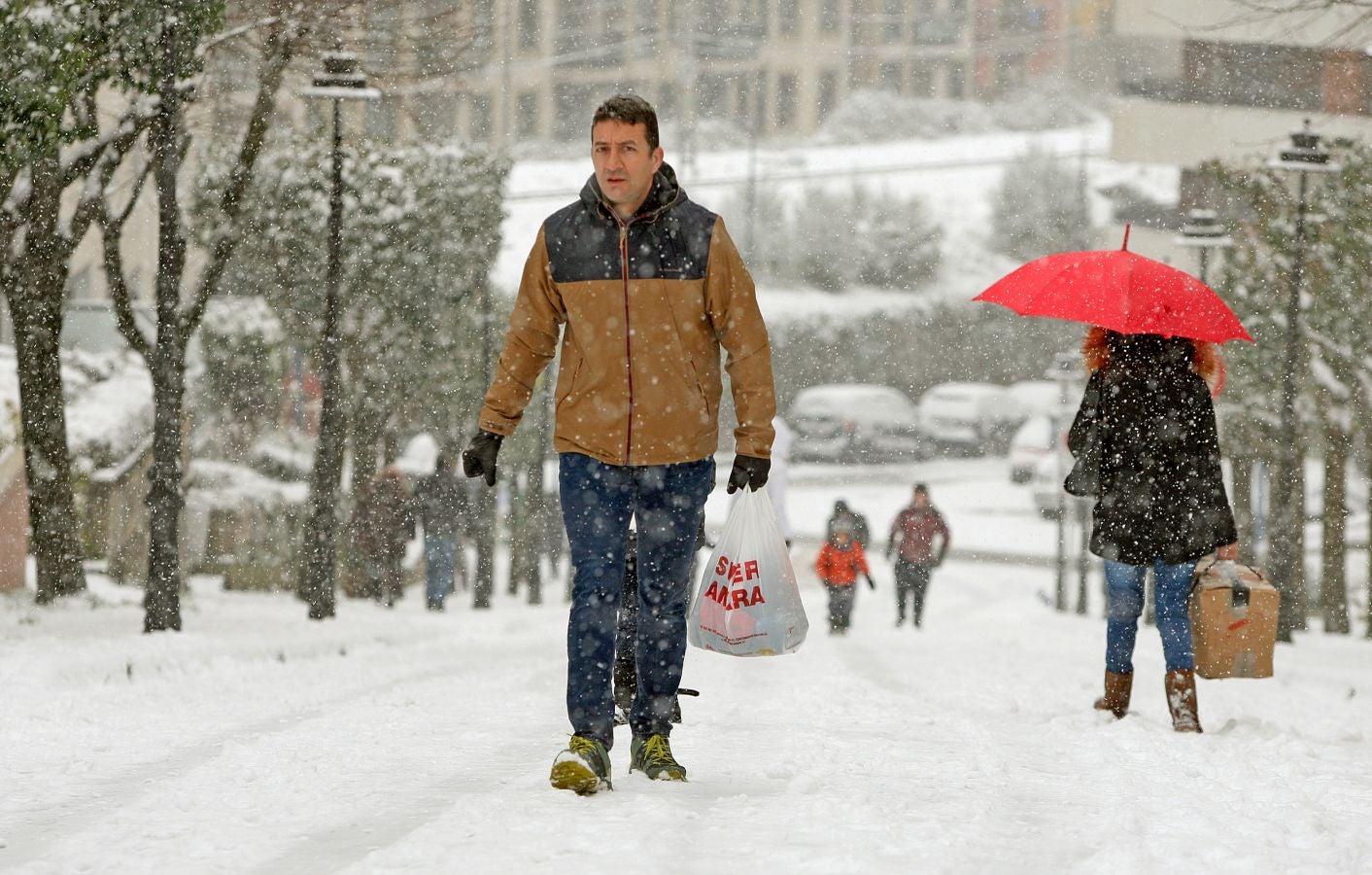 Fotos: Errenteria bajo la nieve