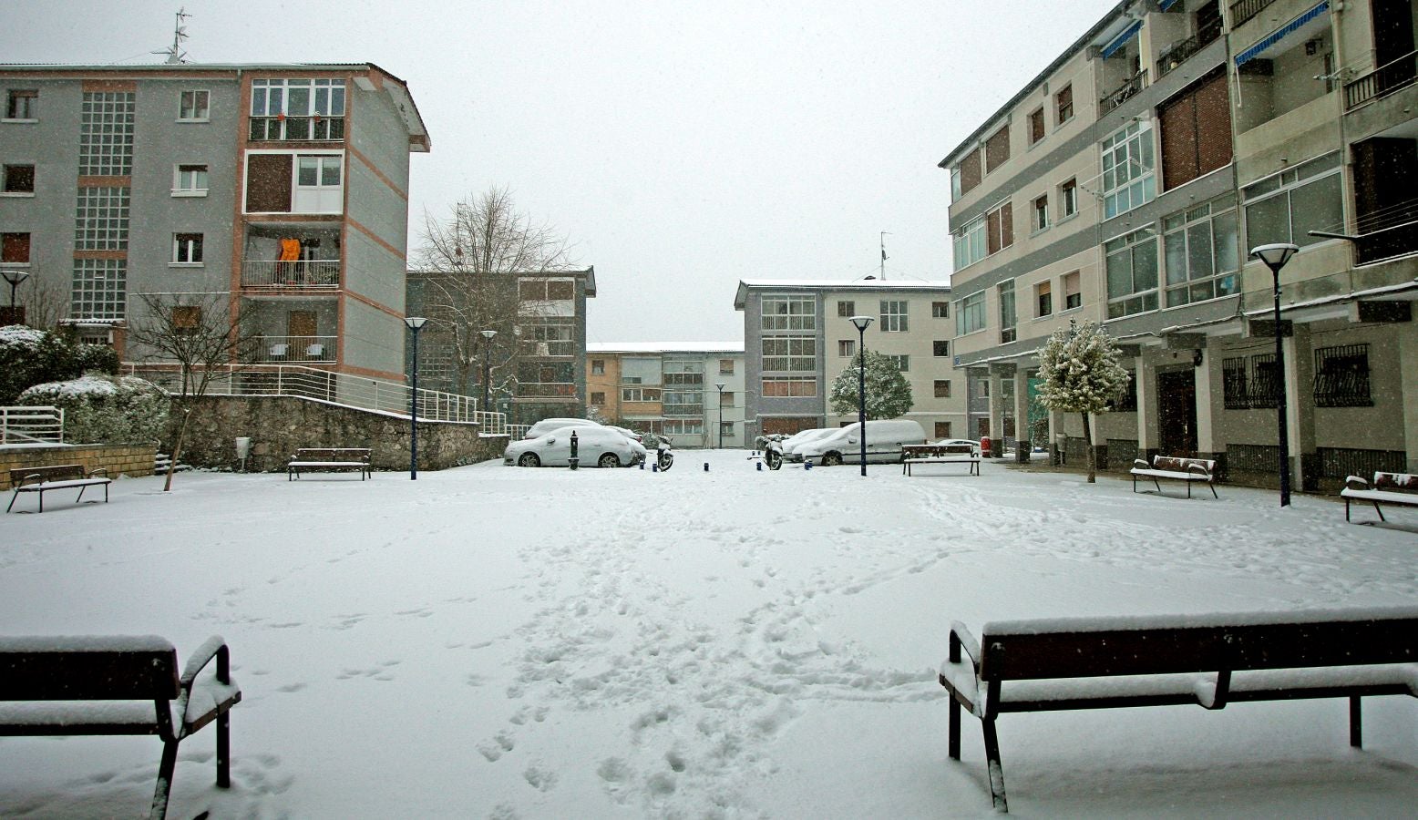 Fotos: Errenteria bajo la nieve