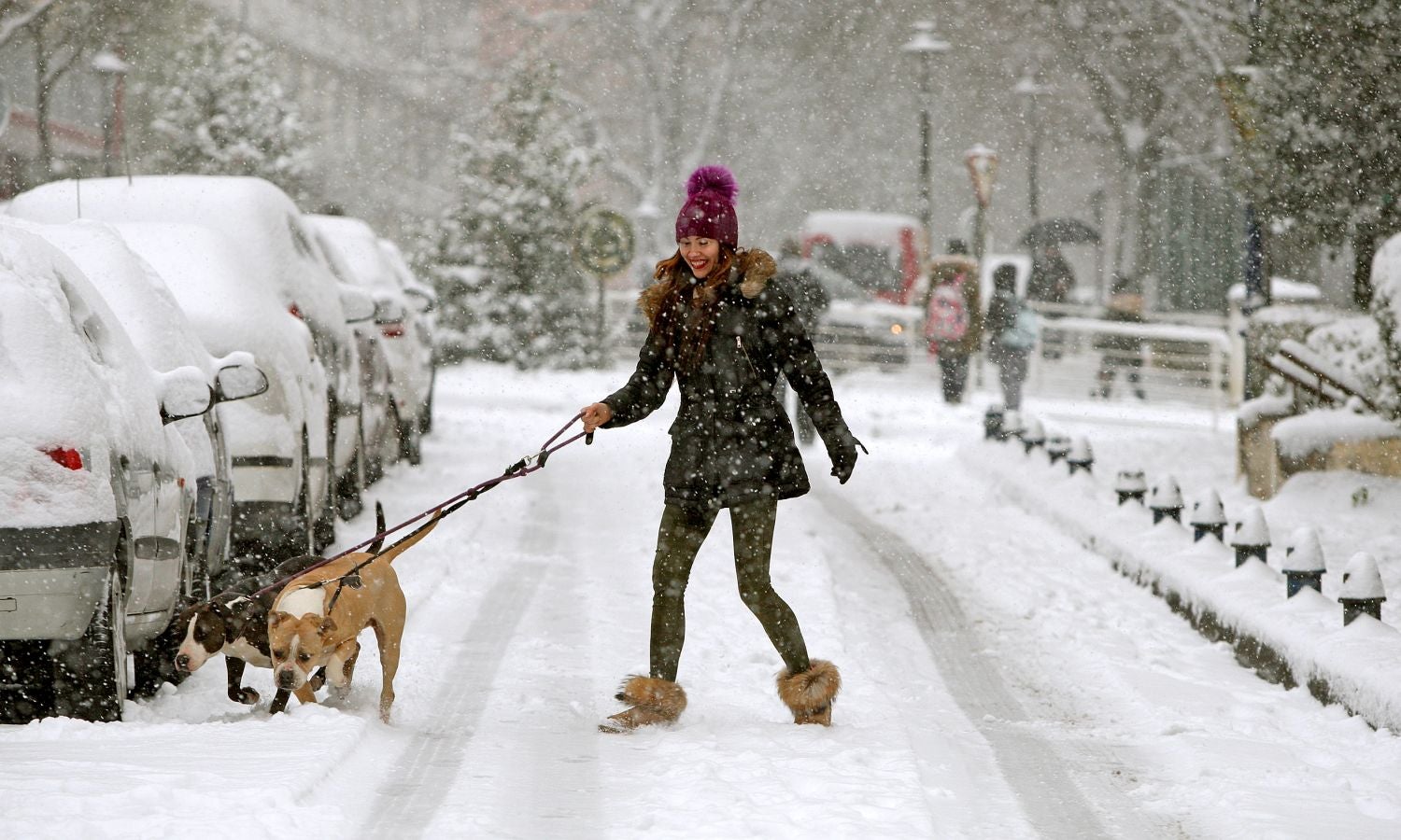 Fotos: Errenteria bajo la nieve