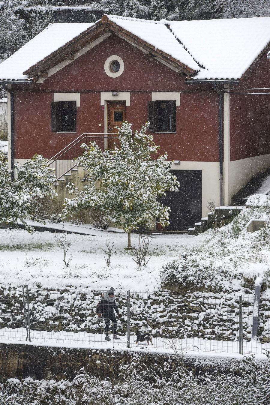 La intensa nevada ha cubierto de blanco la localidad y ha dejado estampas para el recuerdo