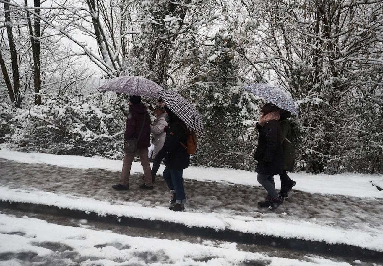 Las precipitaciones están generando severos problemas de circulación en la ciudad