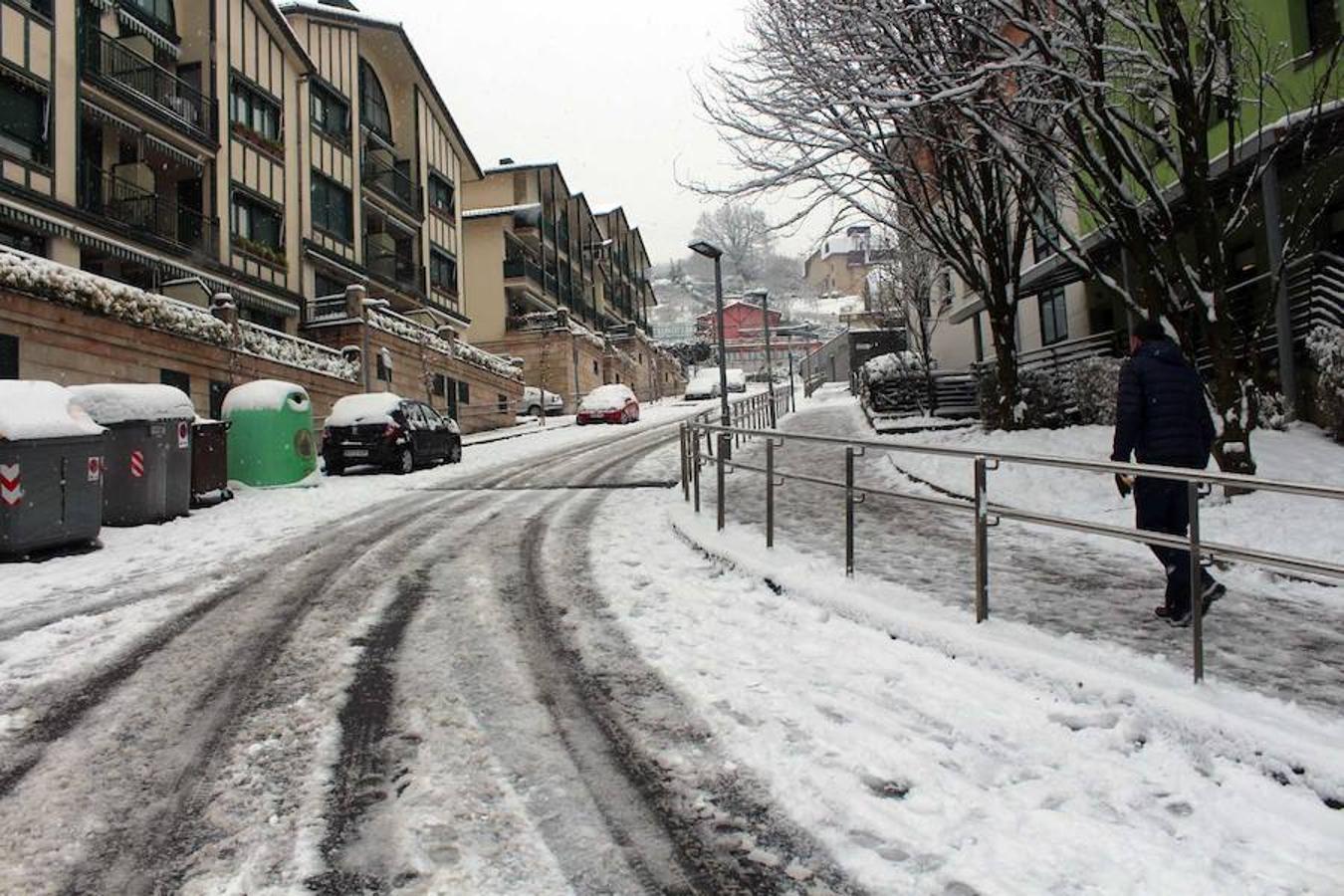 La localidad de Buruntzaldea ha amanecido bajo un manto blanco