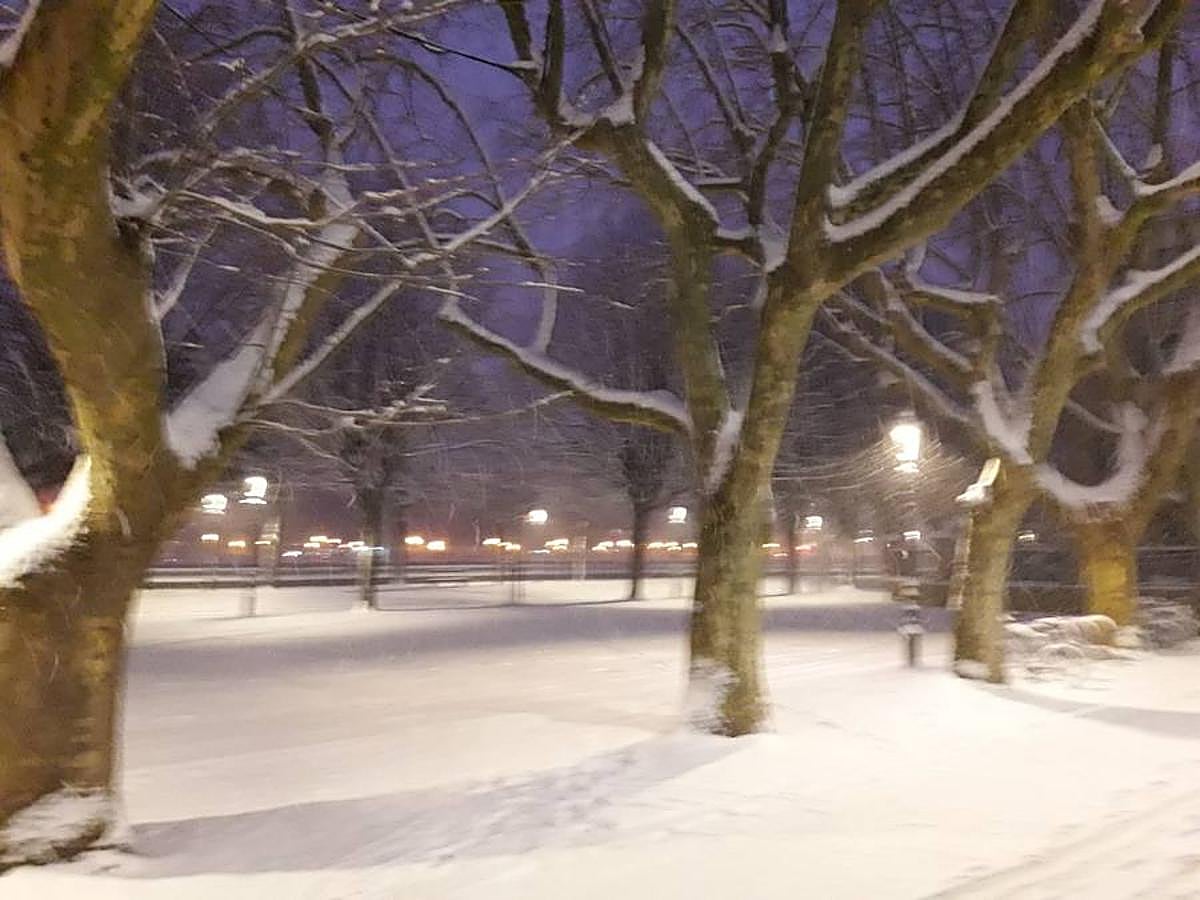 Las precipitaciones están generando severos problemas de circulación en la ciudad