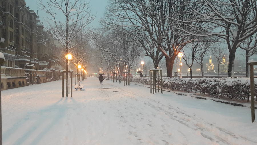 La nieve ha teñido de blanco la ciudad