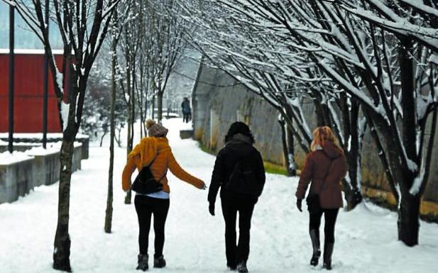 La nieve dejó bonitas estampas de Azkoitia. 