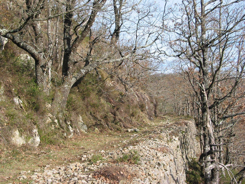 Auténtico oasis de bosques donde el silencio llega a ser denso como la niebla de la mañana, Artikutza es una magnífica reserva natural protegida por montes por los cuatro costados