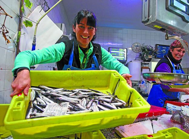 Anchoas, ayer, en una pescadería de Trintxerpe. 