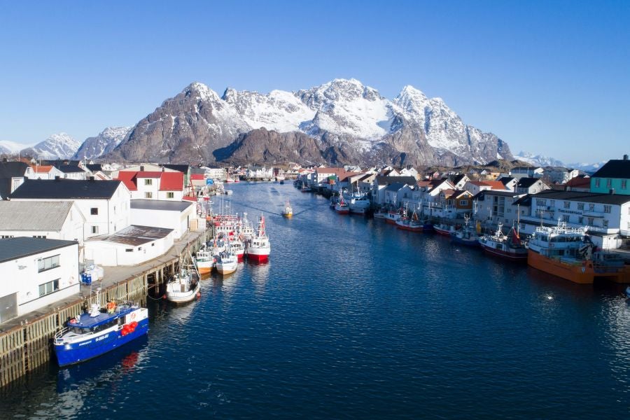 Los pescadores de Henningsvaer, al norte de Noruega, dentro del Círculo Polar Ártico, se jactan de pescar uno de los bacalaos más preciados. Tras pescarlos los cuelgan de altas mesas de madera para dejarlos secar al aire libre durante seis meses.