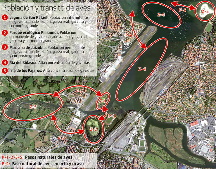 Población de aves en la zona del aeropuerto de Hondarribia.