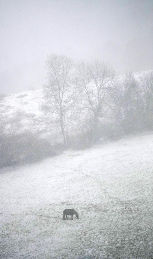 La nieve ha complicado la circulación por Etzegarate 