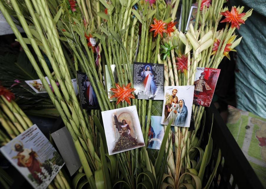 En la ciudad de Paranaque, sur de Manila, Filipinas, los vecinos de la localidad conmemoran la entrada de Cristo en la ciudad de Jerusalén con hojas de palma. Los católicos filipinos llevan sus 'palaspas' hasta la iglesia más cercana para que sea bendecido por el cura local. Finalmente, el ramo colgará en la entrada de las casas locales a fin de que el demonio no lo cruce jamás. 