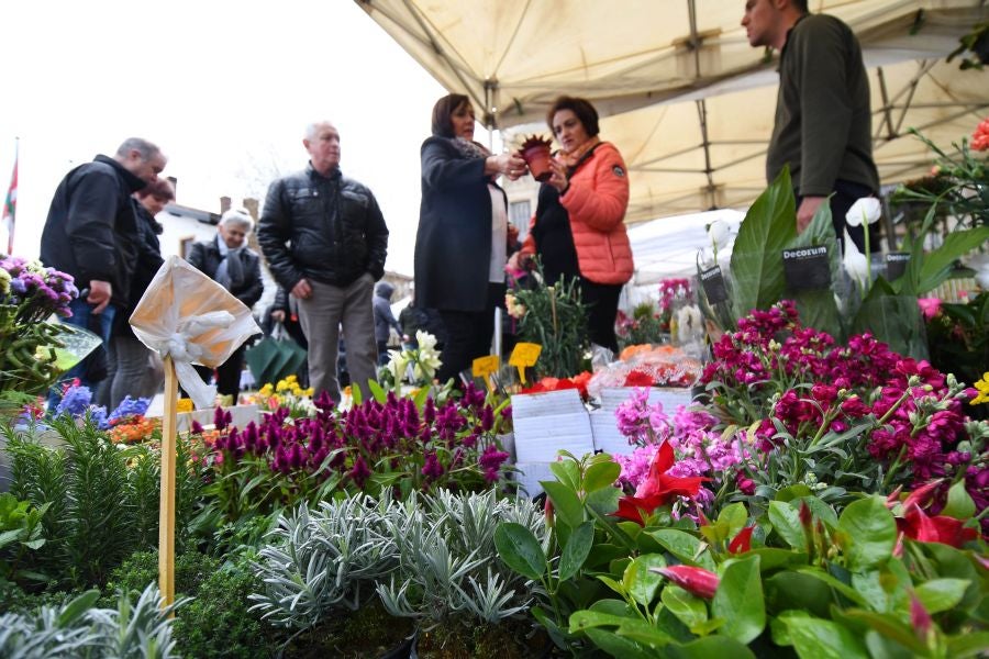 Segura ha celebrado su tradicional Feria de Flores y Plantas, y han sido muchos los vecinos de la localidad que se han acercado a la cita primaveral.