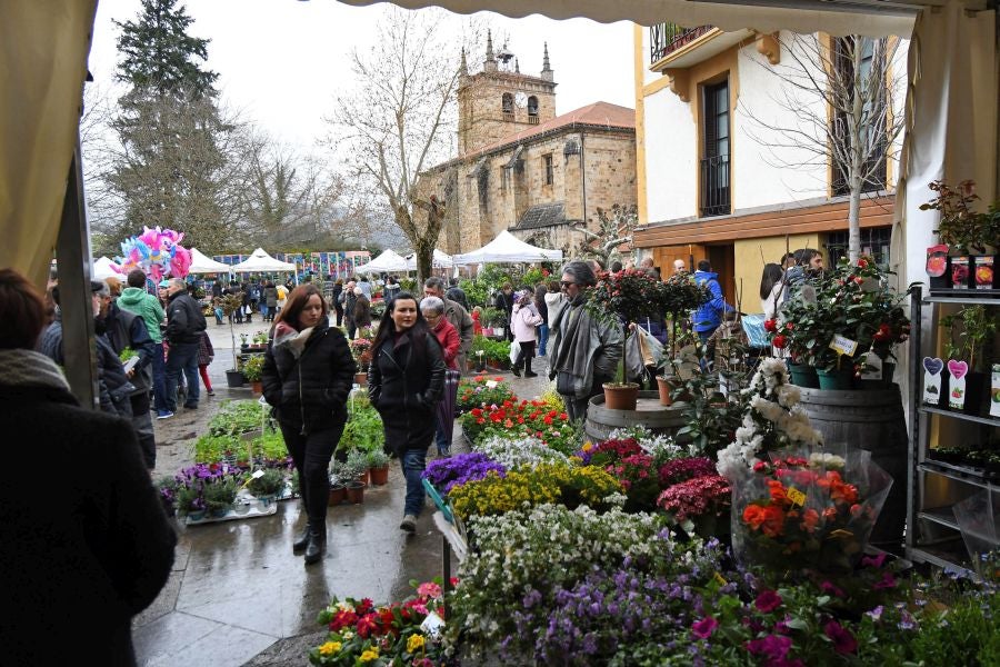 Segura ha celebrado su tradicional Feria de Flores y Plantas, y han sido muchos los vecinos de la localidad que se han acercado a la cita primaveral.