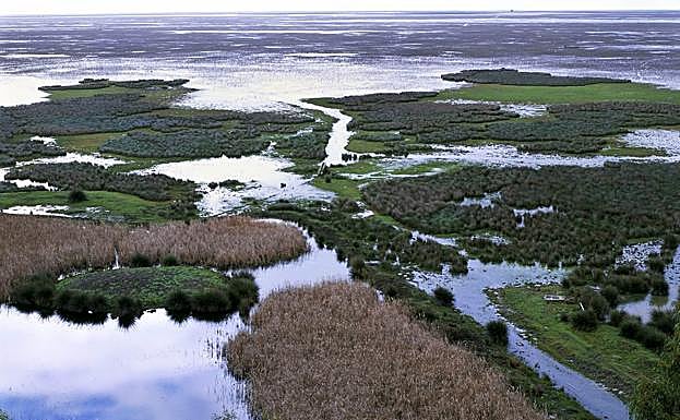 Vistas generales del Parque Nacional de Doñana. 