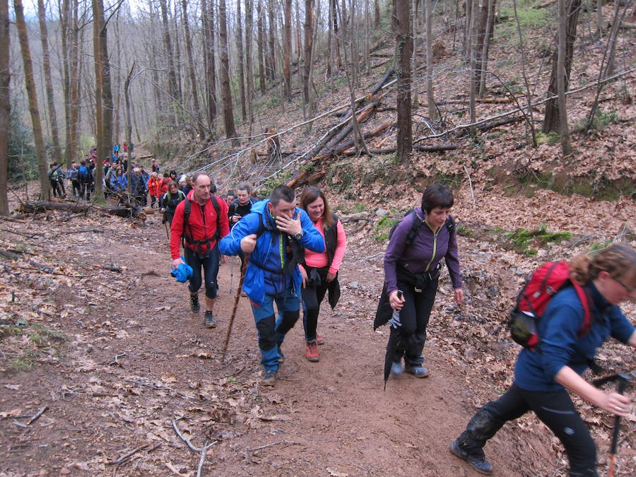 El grupo de montaña Aizkardi, de Amasa-Villabona, celebró el domingo su 50 marcha montañera con gran éxito de participación, 764 personas que desafiaron al mal tiempo con humor. De ellos 316 montañeros partieron a las siete de la mañana desde la plaza de Villabona para completar un recorrido de 43 kilómetros. A las ocho fueron 448 los que dieron comienzo a la marcha con el objetivo de hacer 22 kilómetros. El barro fue el mayor enemigo y lo positivo que la lluvia dio tregua. Gorka Zubeldia recibió el premio Shebe Peña.