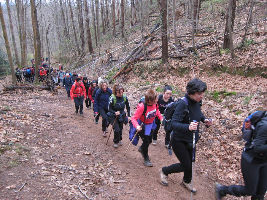 El grupo de montaña Aizkardi, de Amasa-Villabona, celebró el domingo su 50 marcha montañera con gran éxito de participación, 764 personas que desafiaron al mal tiempo con humor. De ellos 316 montañeros partieron a las siete de la mañana desde la plaza de Villabona para completar un recorrido de 43 kilómetros. A las ocho fueron 448 los que dieron comienzo a la marcha con el objetivo de hacer 22 kilómetros. El barro fue el mayor enemigo y lo positivo que la lluvia dio tregua. Gorka Zubeldia recibió el premio Shebe Peña.
