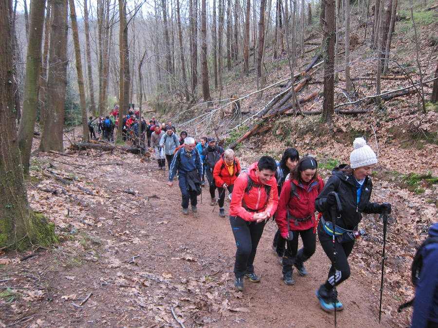 El grupo de montaña Aizkardi, de Amasa-Villabona, celebró el domingo su 50 marcha montañera con gran éxito de participación, 764 personas que desafiaron al mal tiempo con humor. De ellos 316 montañeros partieron a las siete de la mañana desde la plaza de Villabona para completar un recorrido de 43 kilómetros. A las ocho fueron 448 los que dieron comienzo a la marcha con el objetivo de hacer 22 kilómetros. El barro fue el mayor enemigo y lo positivo que la lluvia dio tregua. Gorka Zubeldia recibió el premio Shebe Peña.