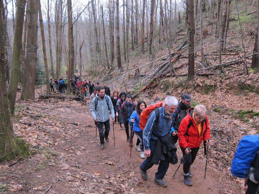 El grupo de montaña Aizkardi, de Amasa-Villabona, celebró el domingo su 50 marcha montañera con gran éxito de participación, 764 personas que desafiaron al mal tiempo con humor. De ellos 316 montañeros partieron a las siete de la mañana desde la plaza de Villabona para completar un recorrido de 43 kilómetros. A las ocho fueron 448 los que dieron comienzo a la marcha con el objetivo de hacer 22 kilómetros. El barro fue el mayor enemigo y lo positivo que la lluvia dio tregua. Gorka Zubeldia recibió el premio Shebe Peña.