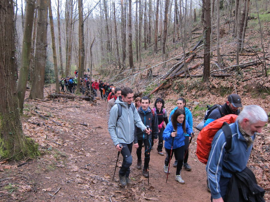 El grupo de montaña Aizkardi, de Amasa-Villabona, celebró el domingo su 50 marcha montañera con gran éxito de participación, 764 personas que desafiaron al mal tiempo con humor. De ellos 316 montañeros partieron a las siete de la mañana desde la plaza de Villabona para completar un recorrido de 43 kilómetros. A las ocho fueron 448 los que dieron comienzo a la marcha con el objetivo de hacer 22 kilómetros. El barro fue el mayor enemigo y lo positivo que la lluvia dio tregua. Gorka Zubeldia recibió el premio Shebe Peña.