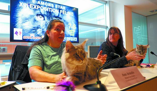 Ana Arnedo y Marie Pascal Partarrien sostienen dos ejemplares de Maine Coon.