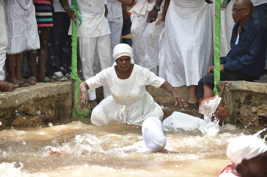 Los seguidores vudú siguen activos en Haití. Vestidos de blanco, sacrifican toros, gallinas o cabras y se untan el cuerpo con su sangre para sumergirse después en una piscina sagrada, llamada Loa, el espíritu que ayuda a gobernar el universo. 