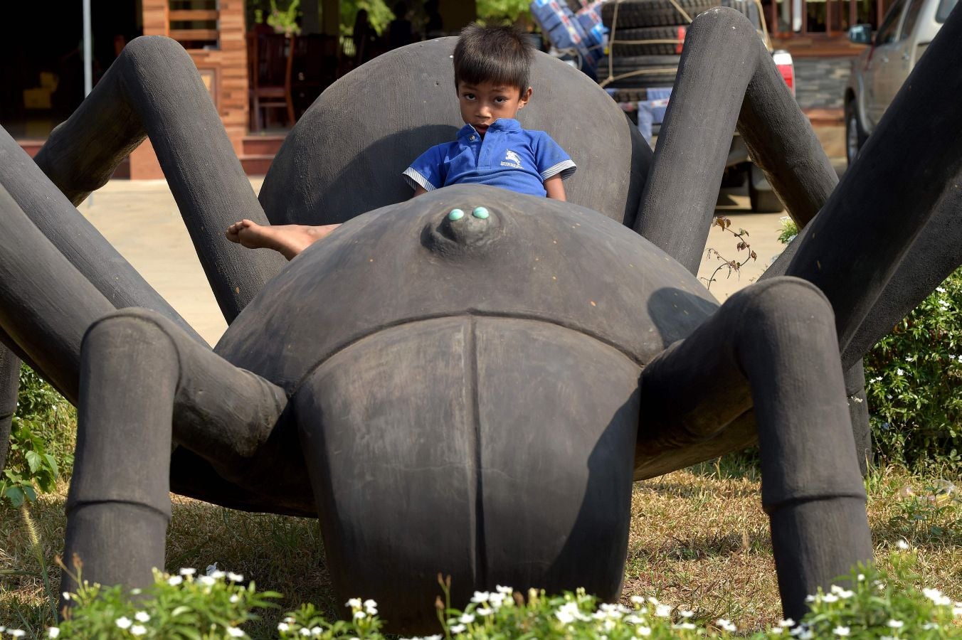 Aunque en occidente pueda parecer un plato poco apetitoso, las tarántulas son consideradas un manjar en Camboya. Tanto, que la caza furtiva de estas arañas, unida a la deforestación, amenazan con terminar con ellas.