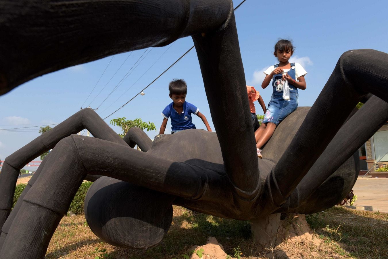 Aunque en occidente pueda parecer un plato poco apetitoso, las tarántulas son consideradas un manjar en Camboya. Tanto, que la caza furtiva de estas arañas, unida a la deforestación, amenazan con terminar con ellas.