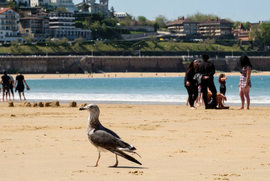 Fotos: Primer día de sol y playa en Donostia