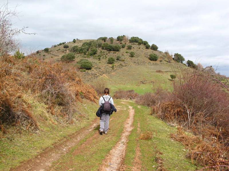 En un recóndito rincón de La Rioja, al pie de las altas cumbres de la sierra de la Demanda, San Millán de la Cogolla fue testigo hace mil años del nacimiento de una lengua