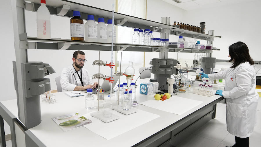 La investigación para la salud y la sostenibilidad, la innovación o el emprendizaje son ya parte integral de la gastronomía, tanto que el Basque Culinary Center ha pasado a integrar la Red Vasca de Ciencia, Tenología e Innovación.