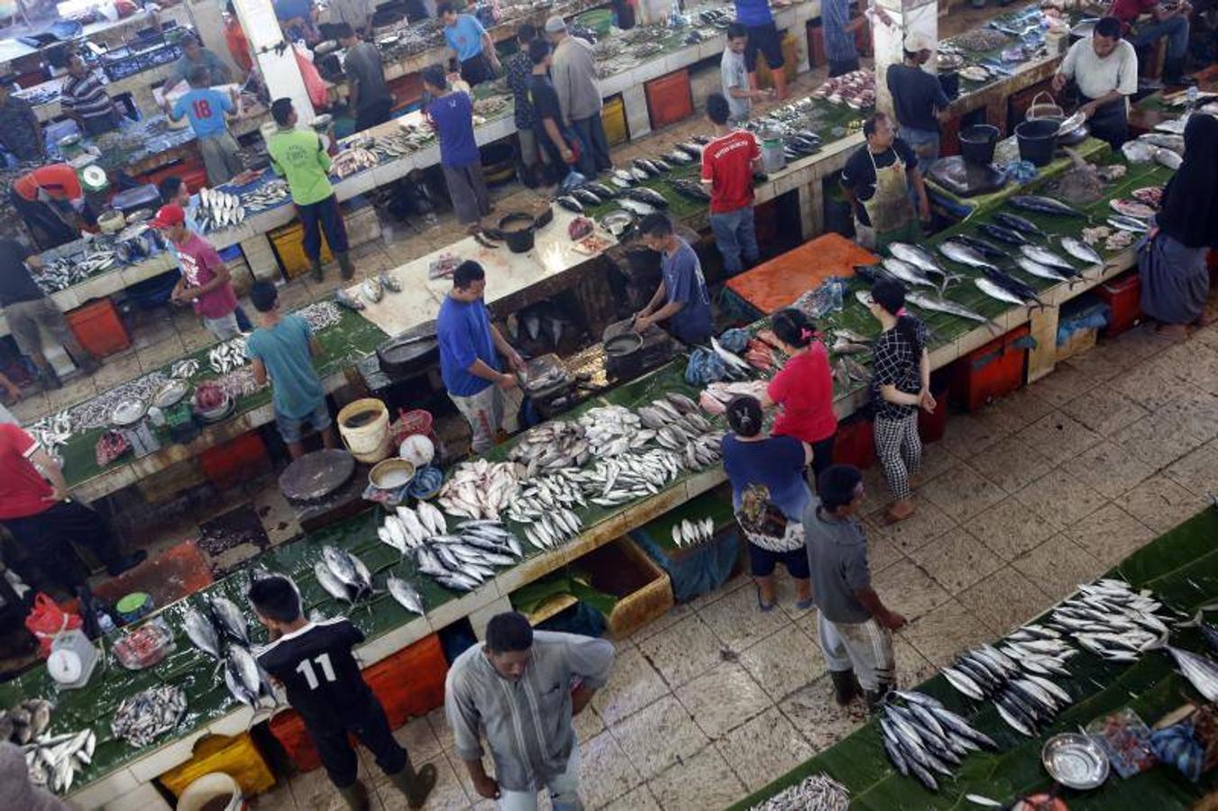 Indonesia National Bank (BI) estima que el crecimiento económico de Indonesia en el primer trimestre de 2018 estar en el rango del 5.1 por ciento debido a la demanda interna de inversión.