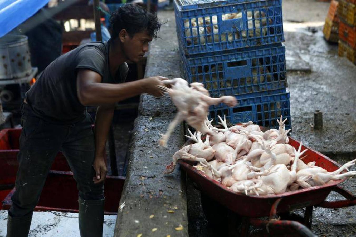 Indonesia National Bank (BI) estima que el crecimiento económico de Indonesia en el primer trimestre de 2018 estar en el rango del 5.1 por ciento debido a la demanda interna de inversión.