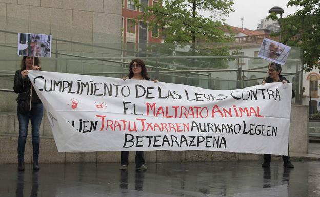Mantienen la petición de cárcel para dos veterinarios de la Protectora de Animales de Donostia acusados de maltrato