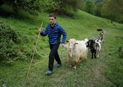 Imagen secundaria 1 - Entre la facultad de ingeniería y los pastos de Aralar