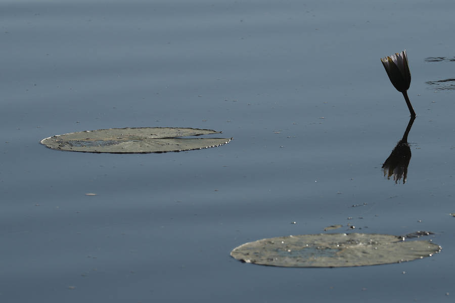 El delta del río Okavango es Patrimonio Mundial. Ejemplo único de interacción de procesos climáticos, hidrológicos y biológicos, se sitúa al noroeste de Botswana y está formado por una planicie de pantanos permanentes y praderas que se inundan de manera estacional. Se trata de un complejo de zonas húmedas prácticamente intacto. Es uno de los pocos sistemas de deltas interiores del mundo que carece de desembocadura al mar.