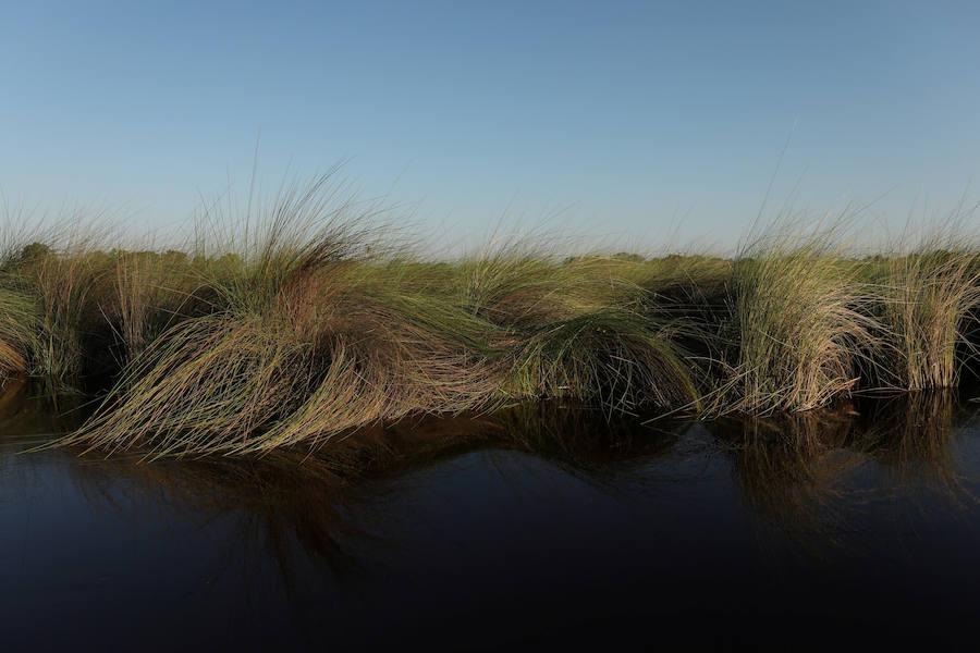 El delta del río Okavango es Patrimonio Mundial. Ejemplo único de interacción de procesos climáticos, hidrológicos y biológicos, se sitúa al noroeste de Botswana y está formado por una planicie de pantanos permanentes y praderas que se inundan de manera estacional. Se trata de un complejo de zonas húmedas prácticamente intacto. Es uno de los pocos sistemas de deltas interiores del mundo que carece de desembocadura al mar.