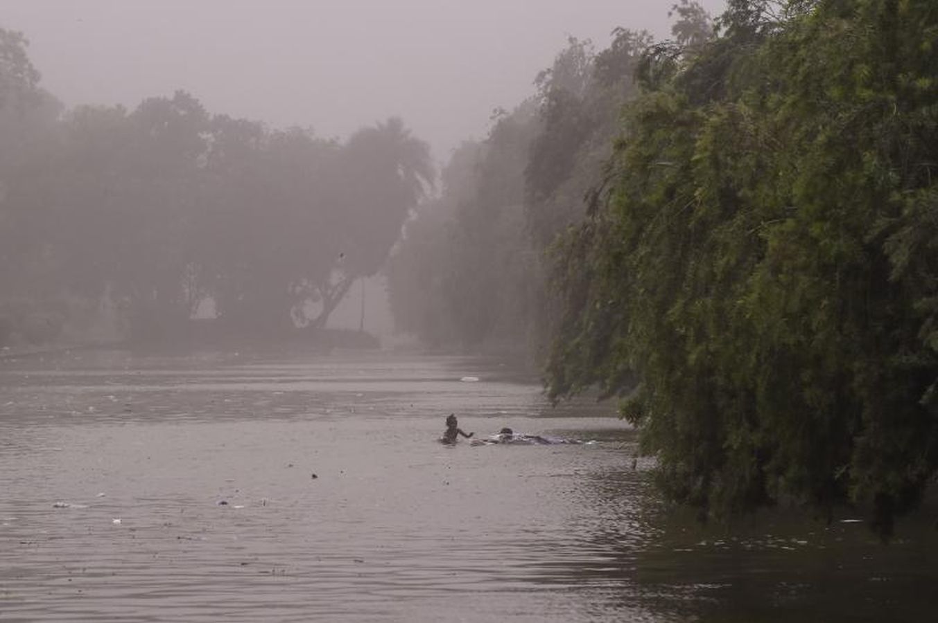 Las tormentas de polvo azotaron el norte de India matando al menos a 77 personas e hiriendo a 143 debido a fuertes vientos que arrasaron los árboles y las paredes.